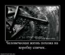 Настя Підгородня фотография #3 (источник - https://vk.com/id59033925)