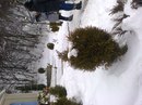 Бодя Савіцький фотография #5 (источник - https://vk.com/id135543122)