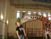 Фотография Беляева Максима