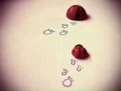 Фотография Цовмы Юленьки