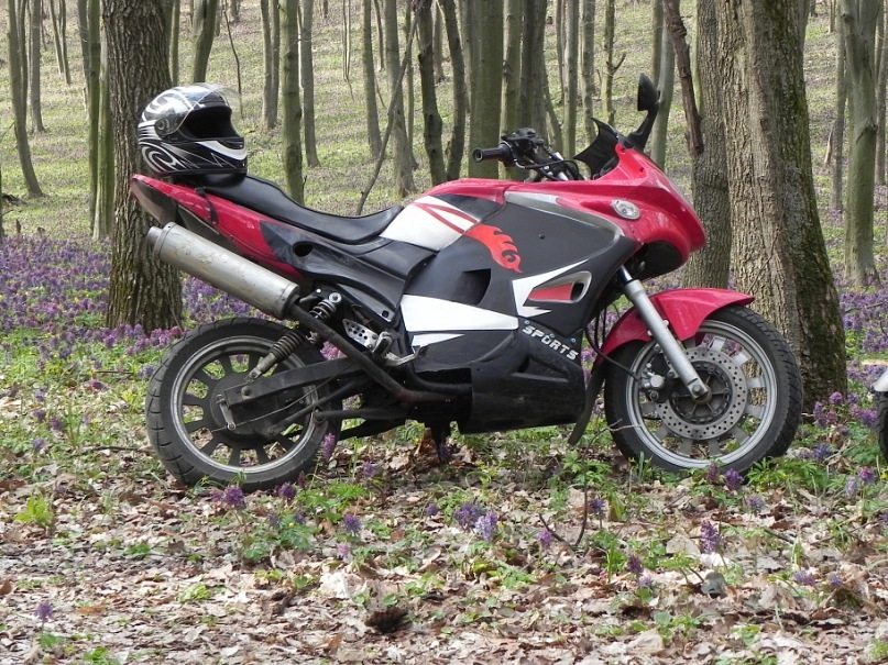 Дмитрий Вишняков фотография #35