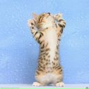 Фотография Парфенова Максима