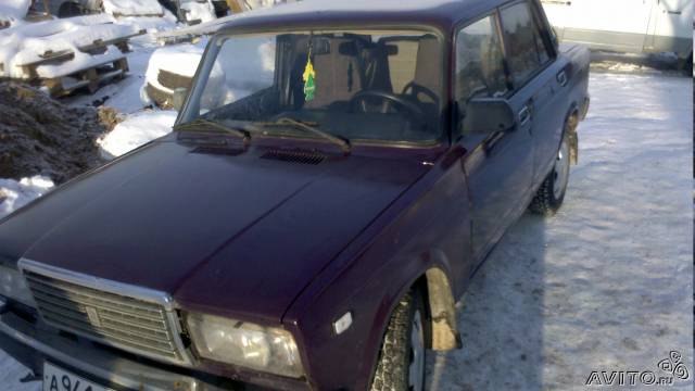 Дмитрий Курков фотография #41