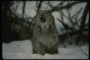 Андрій Нагорний фотография #40 (источник - https://vk.com/id163825917)