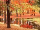 Крістік Петришин фотография #30 (источник - https://vk.com/id138479232)