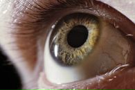 Фотография Сметанкина Михаила