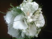 Наташа Стаднік фотография #19 (источник - https://vk.com/id10009053)