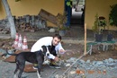 Mustafabalcy Balcy фотография #7 (источник - https://vk.com/id155473543)