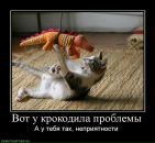 Роман Алябьев фотография #30 (источник - https://vk.com/id9067029)