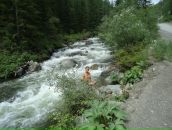 Фотография Николаевны Галины