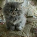 Фотография Пустобояровой Марии