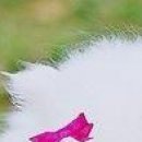 Леся Андреєва фотография #25 (источник - https://vk.com/id142723263)