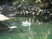 Міша Motsa фотография #26 (источник - https://vk.com/id52852421)