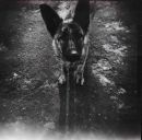 Кира Гартман фотография #2 (источник - https://vk.com/id965729)