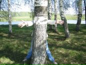 Фотография Козловой Алины