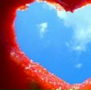 Андріана Шведа фотография #19 (источник - https://vk.com/id138941313)