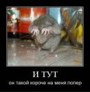 Фотография Яскиной Полины