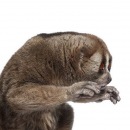 Фотография Стеблецова Михаила