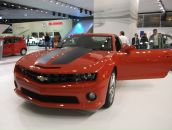 Фотография Шамехо Ирины