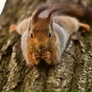 Фотография Петровой Тани