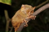 Фотография Орловой Екатерины