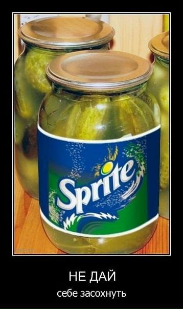 Ден Винниченко фото №42