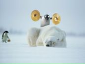 Фотография Булатовой Алены