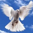 Андрій Макара фотография #6 (источник - https://vk.com/id116200312)