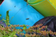 Андрій Світлицький фотография #33 (источник - https://vk.com/id2321783)