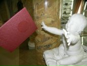 Фотография Горелкина Вани