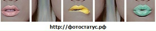 Светік Куриця фотография #5 (источник - https://vk.com/id72959407)