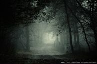 Фотография Демьяновой Златы