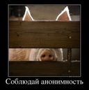 Макс Елисеев фотография #6 (источник - https://vk.com/id98101980)