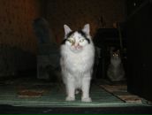 Фотография Соймоновой Анны