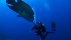 Фотография Данилова Юрия