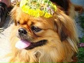 Фотография Котик Леры