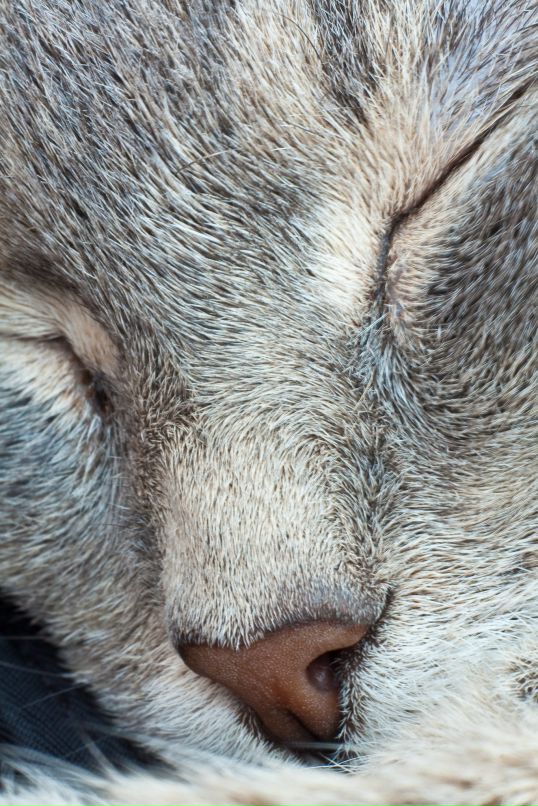 Денис Носков фотография #4