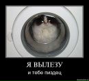Аліна Котова фотография #40 (источник - https://vk.com/id6179769)