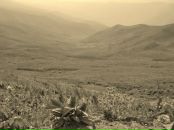 Фотография Курбон Камиллы