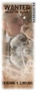 Фотография Кошеваровой Оли
