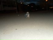 Ростік Худик фотография #42 (источник - https://vk.com/id87017695)