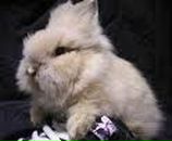 Фотография Поляковой Ленусик