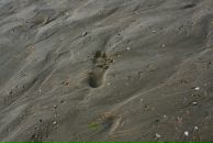 Фотография Рыбалова Дмитрия