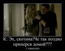 Фотография Софья Царенкова