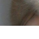 Надя Бабійчук фотография #20 (источник - https://vk.com/id147804112)