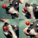 Фотография Туровой Женечки