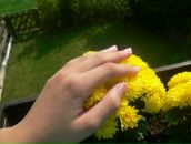 Фотография Смоленковой Аси