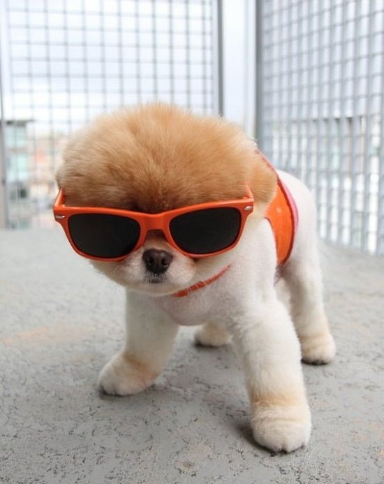 Митяй Чикин фотография #47