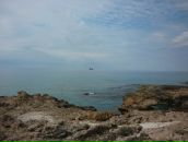 Фотография Плещевой Елены