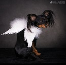 Фотография Ефимцовой Екатерины
